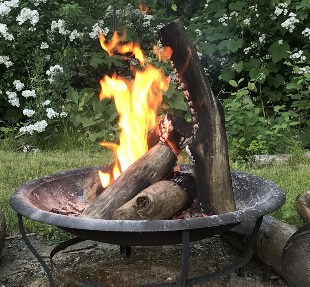 Enduring Adversity And Repurposing Pain